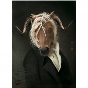 Rastignac Bücherregal