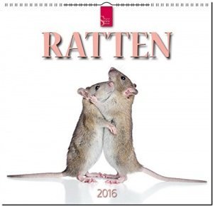 Ratten Kalender