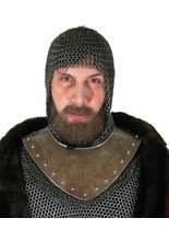 Raubritter Bart Set grau