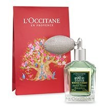 Raumspray Winterzweig