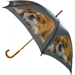 Regenschirm "Bulldogge"