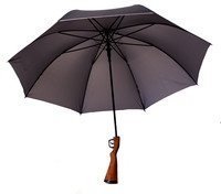 Regenschirm-Gewehr