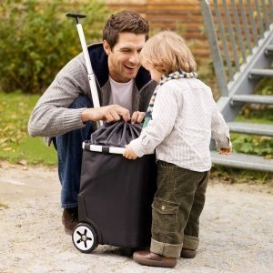 Reisenthel CARRYCRUISER schwarz