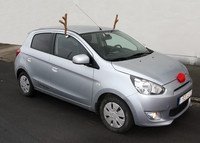 Rentierkostüm fürs Auto