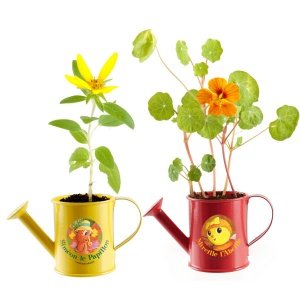 Retro-Gießkanne mit Saatgut