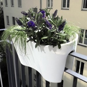 Blumenkasten STECKLING DUO