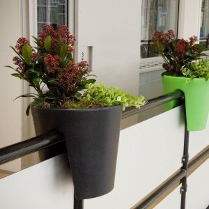 rephorm Pflanztopf STECKLING schwarz