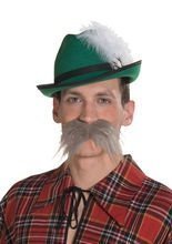 Riesen Schnauzer Schnurrbart lang grau