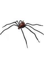Riesen-Spinne Halloween-Deko 86cm braun-
