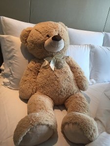 Riesen Teddybär Kuschelbär XXL