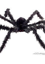 Riesenspinne 1m