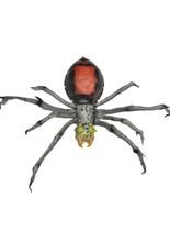 Riesenspinne Halloween Deko grau-rot
