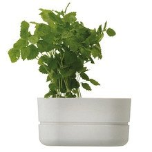 Rig-Tig by Stelton - Kräutertopf oval