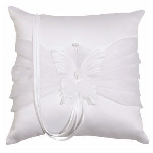 Ringkissen Schmetterling