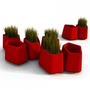 Rock Garden Pflanzentrog