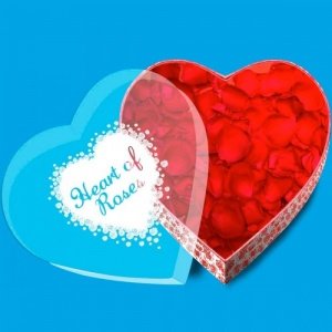 Romantische Rosenblüten