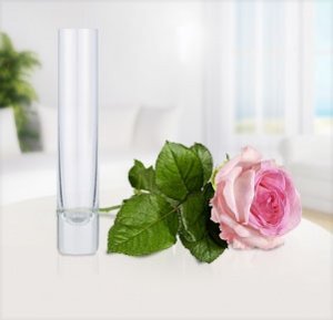 Rosa Einzelstielrose mit Glasvase