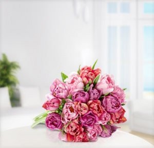 Rosa gefüllte Tulpen