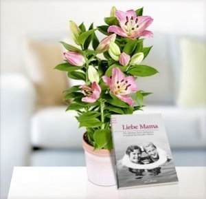 Rosafarbene Lilie mit Buch Liebe Mama