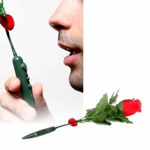 Rose mit Sprachbotschaft