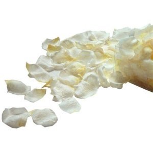 Rosenblatt-Streu, creme