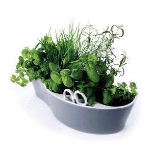 Royal VKB HERB GARDEN Kräuterinsel grau-