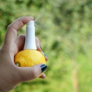 Saftsprüher für Zitrusfrüchte