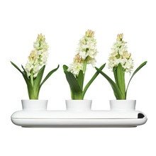 Sagaform - Trio Kräutertopf