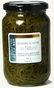 Salicornia (Queller) in Salzlake, 350g (