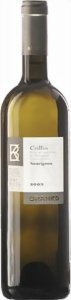 Sauvignon Collio DOC - Azienda Agricola 