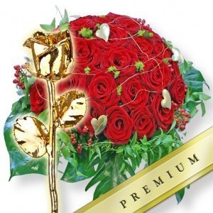 Scarlett und vergoldete Rose