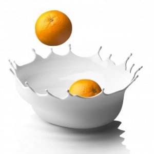 Schale Dropp! snow white