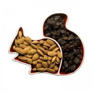 Schale Motiv Eichhörnchen