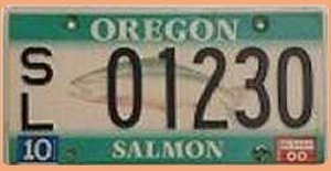 Schbönes Nummernschild aus Oregon USA