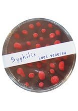 Scherzartikel Bakterien Seife Syphilis