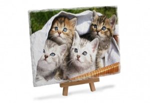 Schiefersteinplatte L