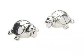 Schildkroeten zahn- und Lockendose