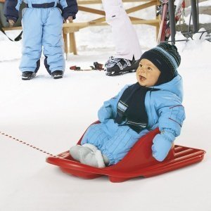 Schlitten "Snow Froggy"