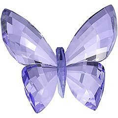 Schmetterling, Provence Lavender