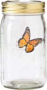 Schmetterling im Glas