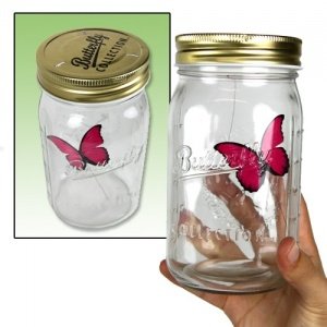 Schmetterling im Glas