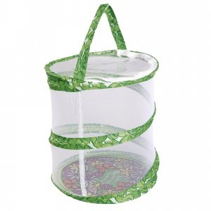 Schmetterlingsgarten