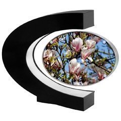 Schwebender Bilderrahmen Black Magic