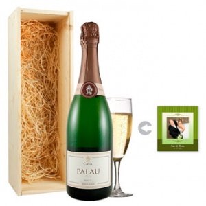 Sekt - Palau Gazo Cava