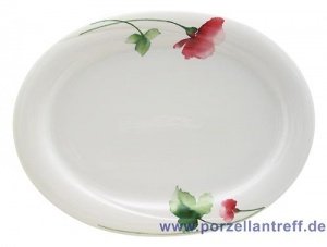 Seltmann Weiden Orlando Livorno Platte o