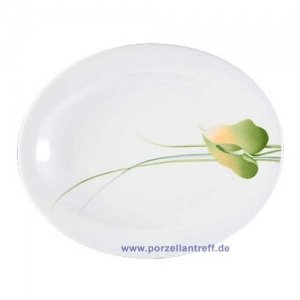 Seltmann Weiden Top Life Hyde Park Platt