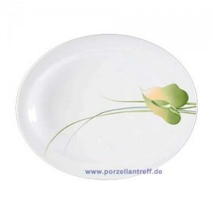 Seltmann Weiden Top Life Hyde Park Speis