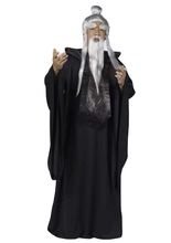 Sensai Japan Kostüm