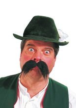 Seppl Bayer Bart Schnauzer lang schwarz