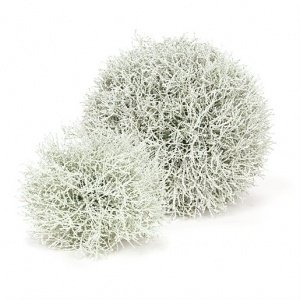 Set Deko-Kugeln Korall grün-weiß 20cm, 3